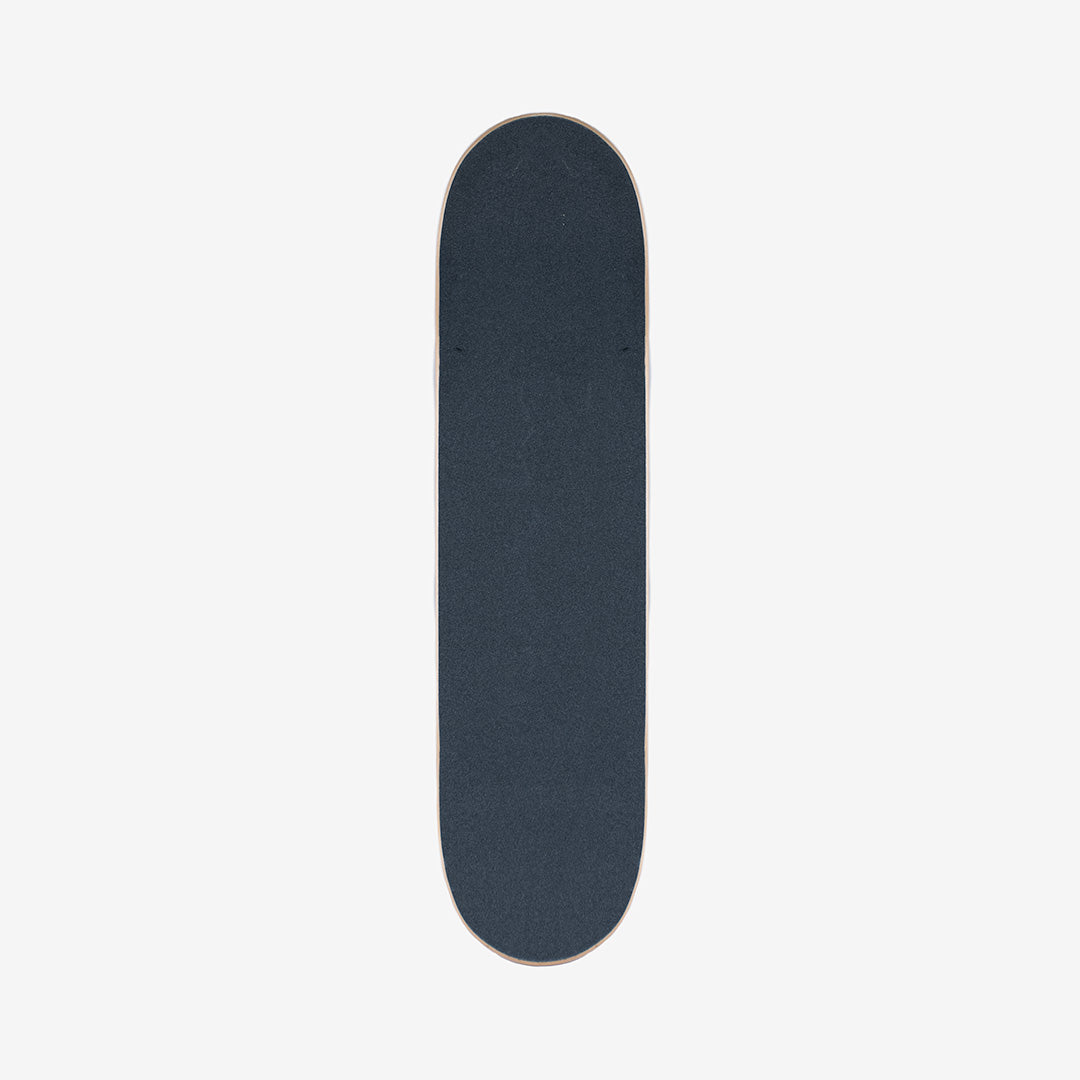 SKATEBOARD 1989